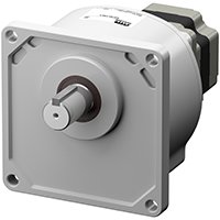 Parallel Shaft Gear Motor