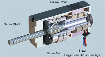 Actuator Structure